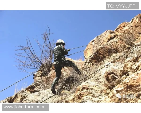 重庆攀岩队团队协作能力大幅提升荣获全国攀岩赛事新高排名