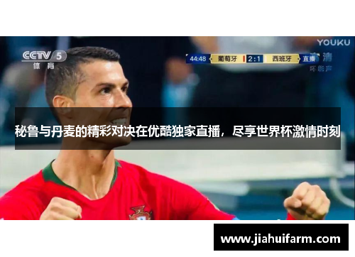 秘鲁与丹麦的精彩对决在优酷独家直播，尽享世界杯激情时刻