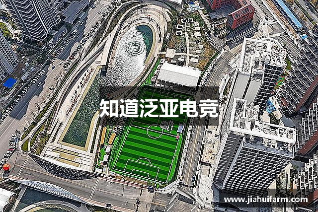 知道泛亚电竞